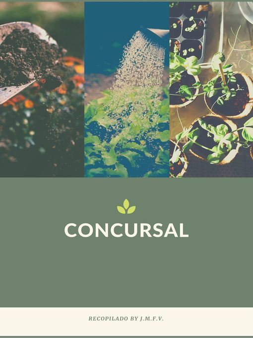 Title details for Concursal by Jose Manuel Ferro Veiga - Available